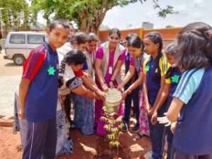 fcb29a7f-d0b9-4782-b6c5-61b7227d46e8